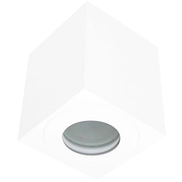 

Venkovní bodové svítidlo SARA 1xGU10/30W/230V IP54 bílá