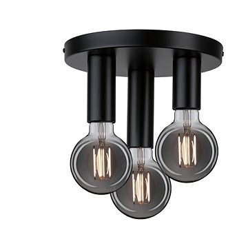 

Paulmann 79761 - Stropní svítidlo HALDOR 3xE27/20W/230V