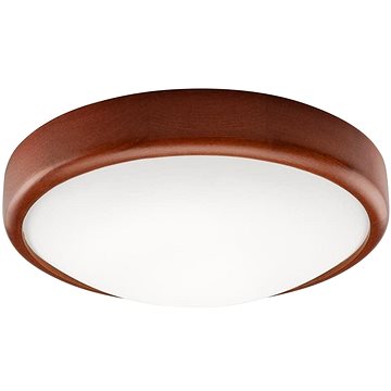 

LED Stropní svítidlo 1xLED/12W/230V