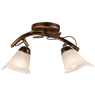 

Bodové svítidlo IVY 2xE14/40W/230V