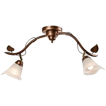 

Bodové svítidlo IVY 2xE14/40W/230V