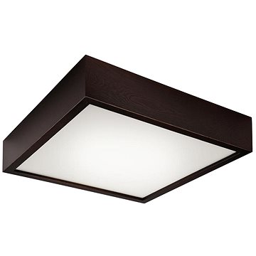 

Stropní svítidlo 2xE27/60W/230V