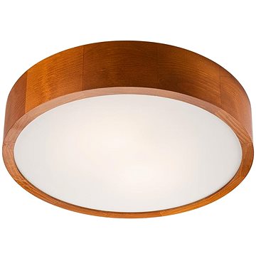 

LED Stropní svítidlo 1xLED/24W/230V