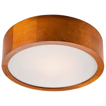 

Stropní svítidlo 1xE27/60W/230V