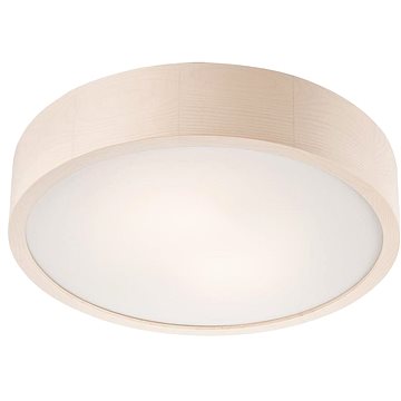 

Stropní svítidlo 2xE27/60W/230V