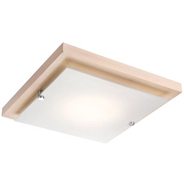 

Stropní svítidlo 1xE27/60W/230V