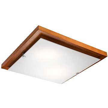 

Stropní svítidlo 2xE27/60W/230V