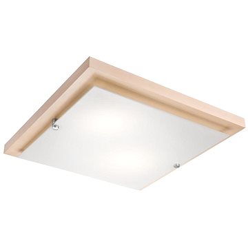 

Stropní svítidlo 2xE27/60W/230V