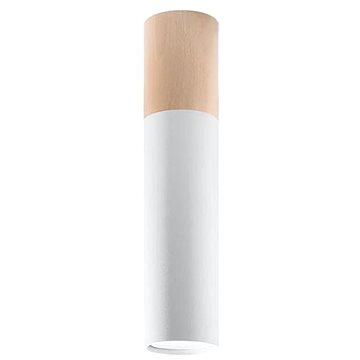 

Stropní svítidlo PABLO 1xGU10/40W/230V bílá