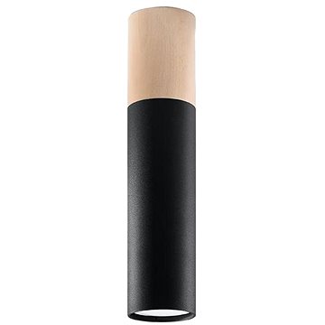 

Stropní svítidlo PABLO 1xGU10/40W/230V černá