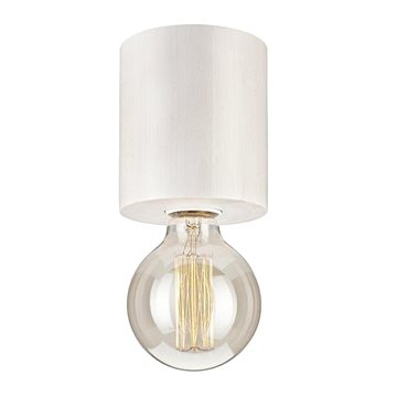 

Stropní svítidlo 1xE27/60W/230V