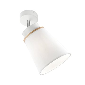

Nástěnné bodové svítidlo AGUSTINO 1xE27/60W/230V