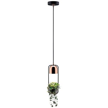 

Paulmann 79749 - 1xGU10/20W Lustr na lanku FANJA 230V