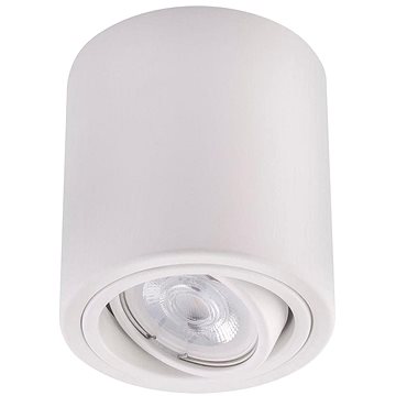 

LED Bodové svítidlo TUBA 1xGU10/5W/230V 2700K bílá