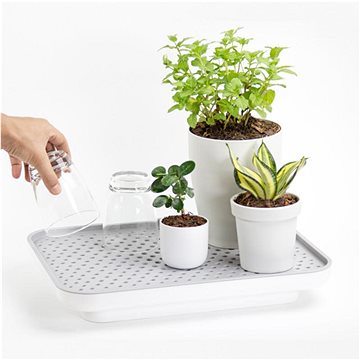 

QUALY Zavlažovací/odkapávací podnos Oasis Tray