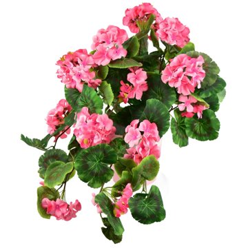 

DOMMIO Muškát převislý světle růžový v keramickém květináči 50 × 35 cm