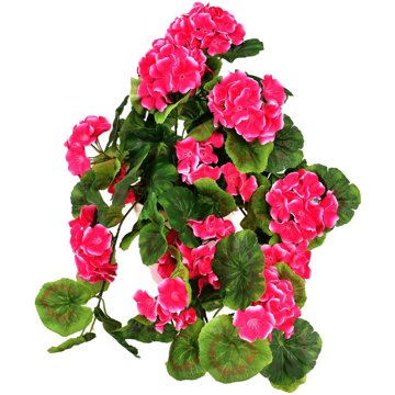 

DOMMIO Muškát převislý růžový v keramickém květináči 50 × 35 cm