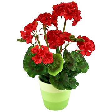 

DOMMIO Muškát v keramickém květináči 40 × 25 cm červený