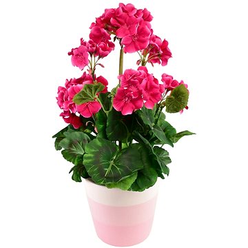 

DOMMIO Muškát v keramickém květináči 40 × 25 cm růžový