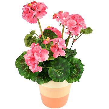 

DOMMIO Muškát v keramickém květináči 40 × 25 cm světle růžový