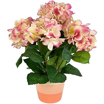 

DOMMIO Hortenzie starorůžová 5 květů v keramickém květináči 40 × 30 cm