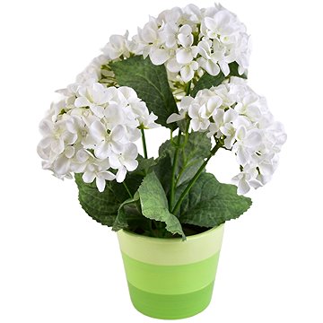 

DOMMIO Hortenzie bílá 5 květů v keramickém květináči 33 × 27 cm
