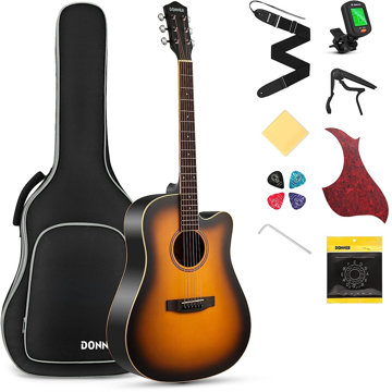 

Donner DAG-1CS - Sunburst