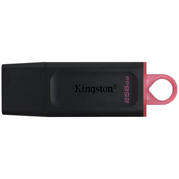 

Kingston DataTraveler Exodia 256GB