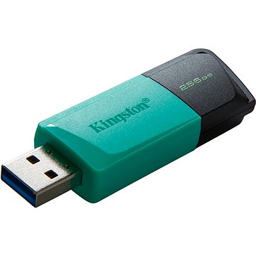 

Kingston DataTraveler Exodia M 256GB černo-tyrkysová