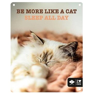 

EBI D&D I love happy cats Kovová tabulka: ,,Be more like a cat sleep all day" 20 × 25 cm