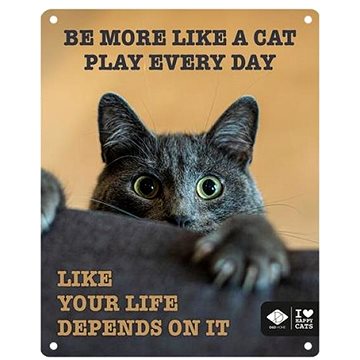 

EBI D&D I love happy cats Kovová tabulka: ,,Be more like a cat play every day" 20 × 25 cm