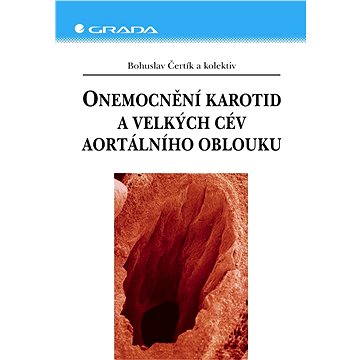 

Onemocnění karotid a velkých cév aortálního oblouku