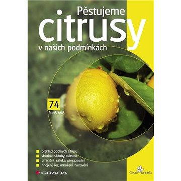 

Pěstujeme citrusy v našich podmínkách