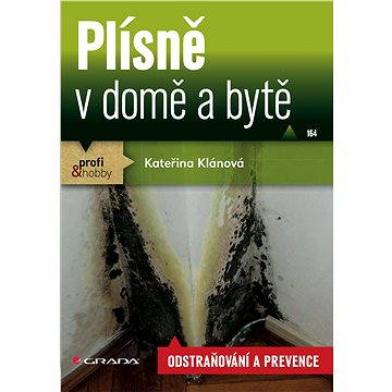 

Plísně v domě a bytě