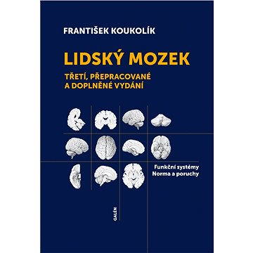 

Lidský mozek