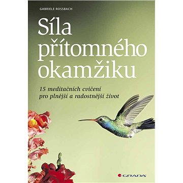 

Síla přítomného okamžiku