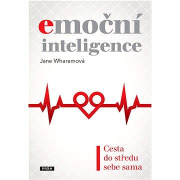

Emoční inteligence