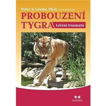 

Probouzení tygra