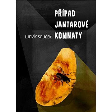 

Případ Jantarové komnaty