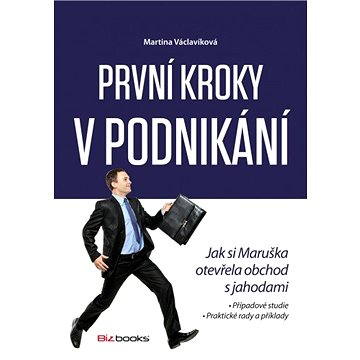 

První kroky v podnikání