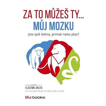 

Za to můžeš ty... můj mozku
