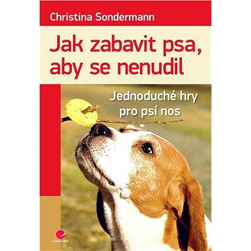 

Jak zabavit psa, aby se nenudil