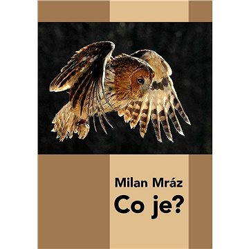 

Co je