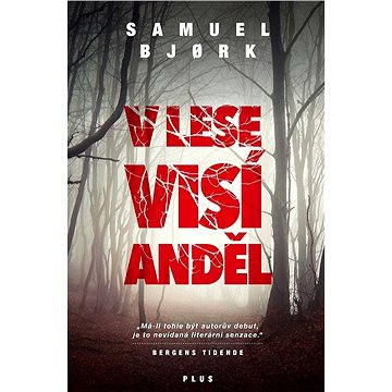 

V lese visí anděl