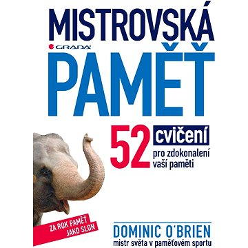 

Mistrovská paměť