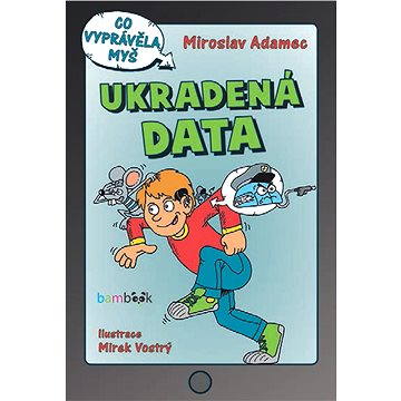 

Ukradená data