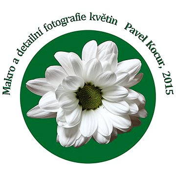 

Makro a detailní fotografie květin