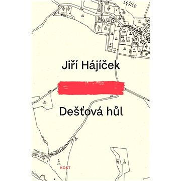 

Dešťová hůl
