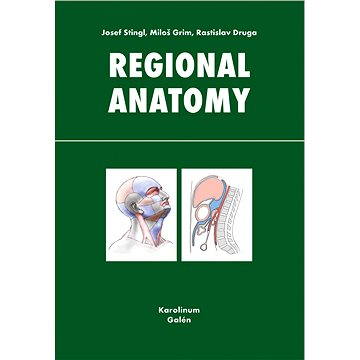 

Regional anatomy