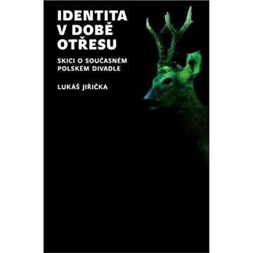 

Identita v době otřesu